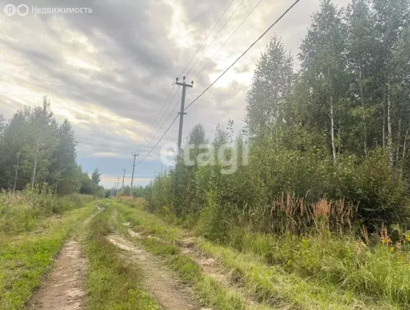 Участок в Республика Марий Эл, городской округ Йошкар-Ола, деревня ... - Фото 2