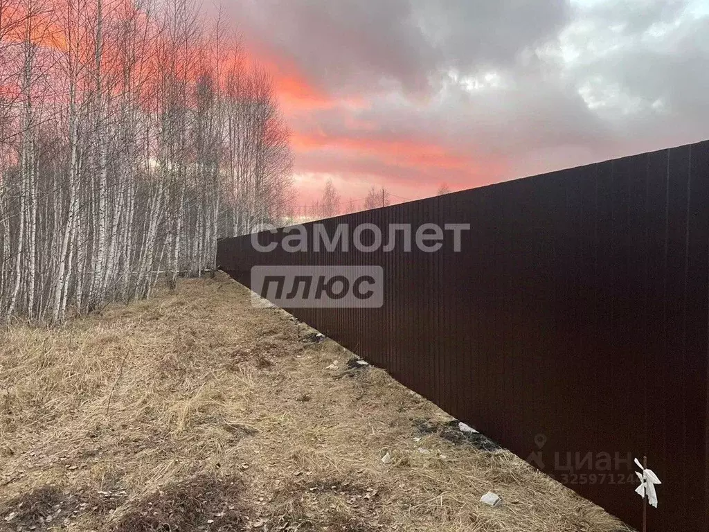 Участок в Челябинская область, Копейский городской округ, с. Калачево ... - Фото 2