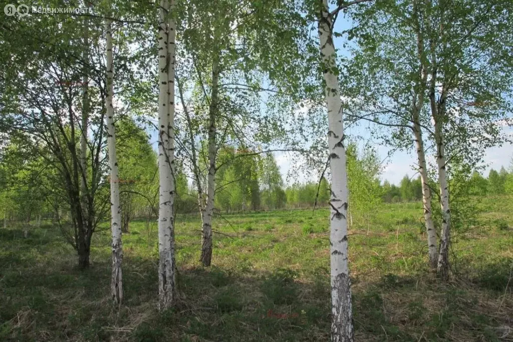 Участок в Берёзовский, Театральная улица (10 м) - Фото 1