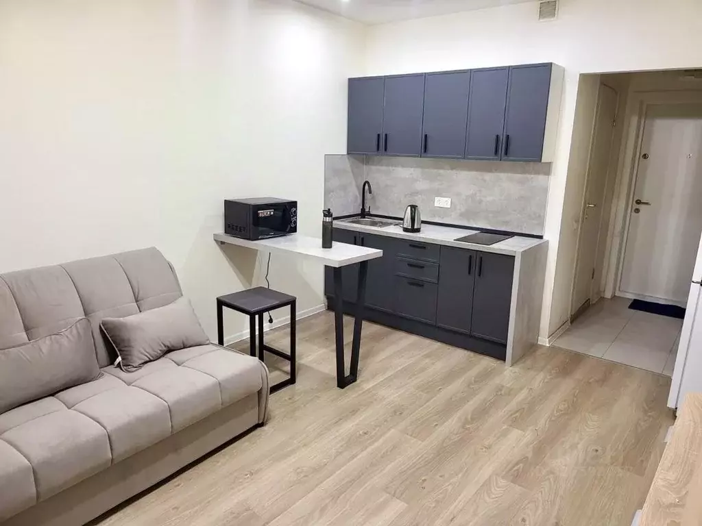 Студия Московская область, Котельники Парковый мкр, 1к20 (20.0 м) - Фото 0