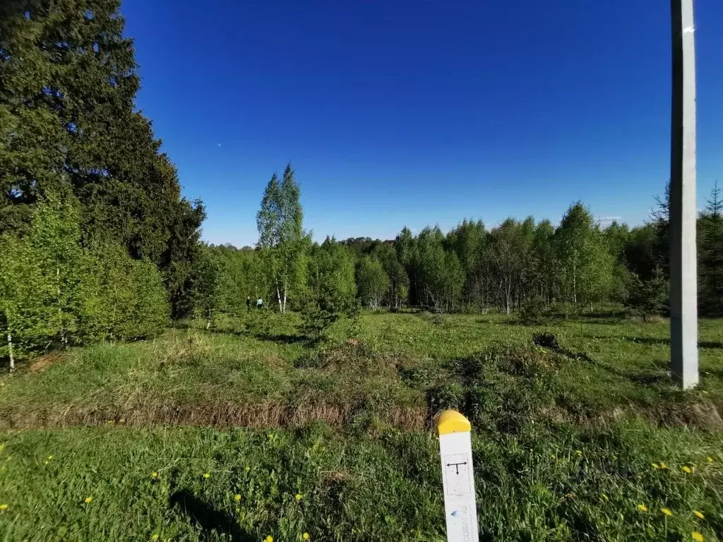 Участок в Московская область, Щелково городской округ, д. Новопареево  ... - Фото 0