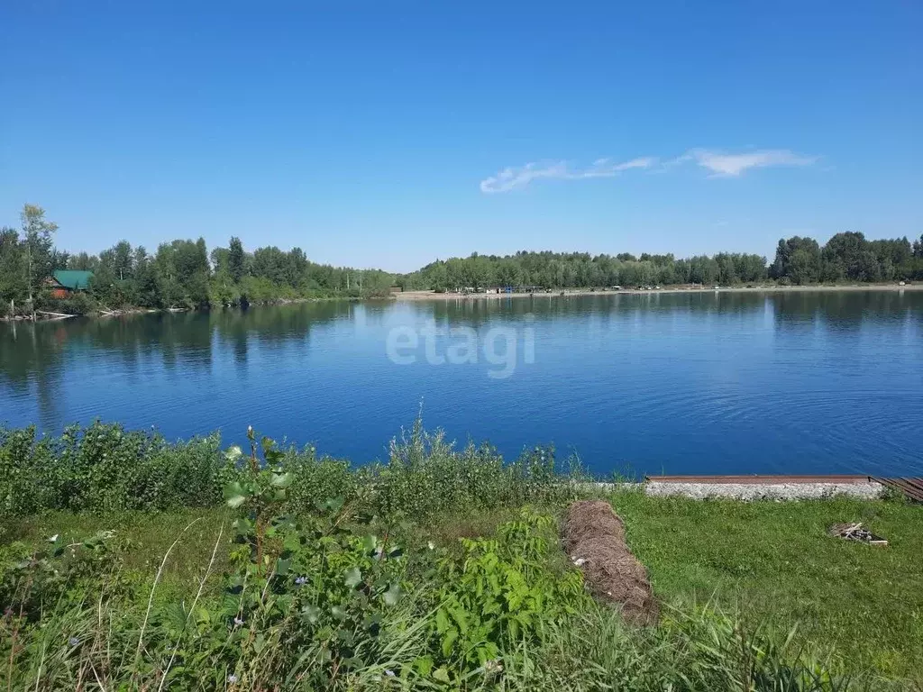 Участок в Алтайский край, Бийский район, Чуйский СНТ ул. Береговая ... - Фото 0