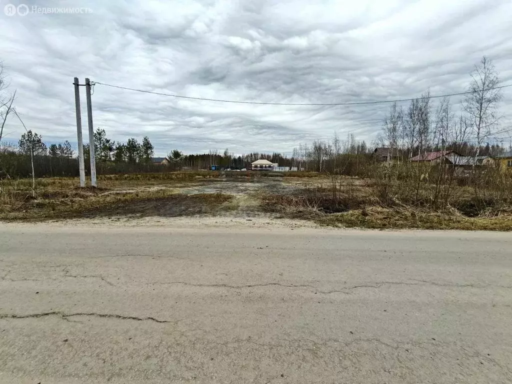 Участок в Электрогорск, 2-я Юго-Западная улица (12 м) - Фото 1