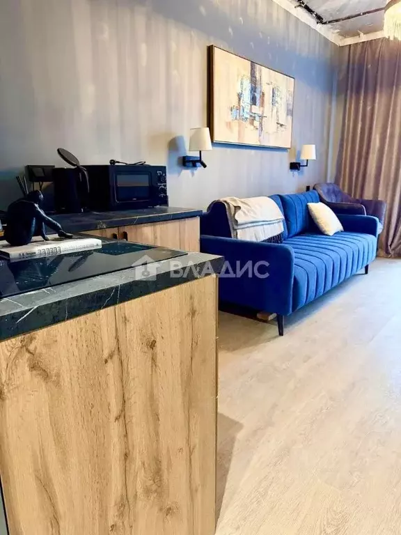 Студия Московская область, Одинцово ул. Чистяковой, 8к2 (24.25 м) - Фото 1