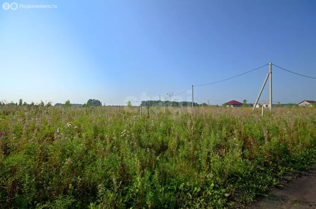 Участок в Заводоуковск, улица Петра Фёдорова (9.12 м) - Фото 2