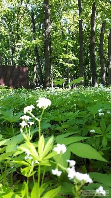 Участок в Самара, посёлок Мехзавод, Гидроузловская улица (44 м) - Фото 1