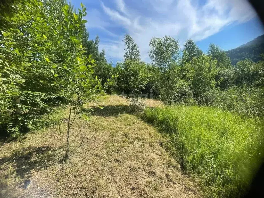 Участок в Алтай, Горно-Алтайск Вишневая ул. (10.2 сот.) - Фото 1