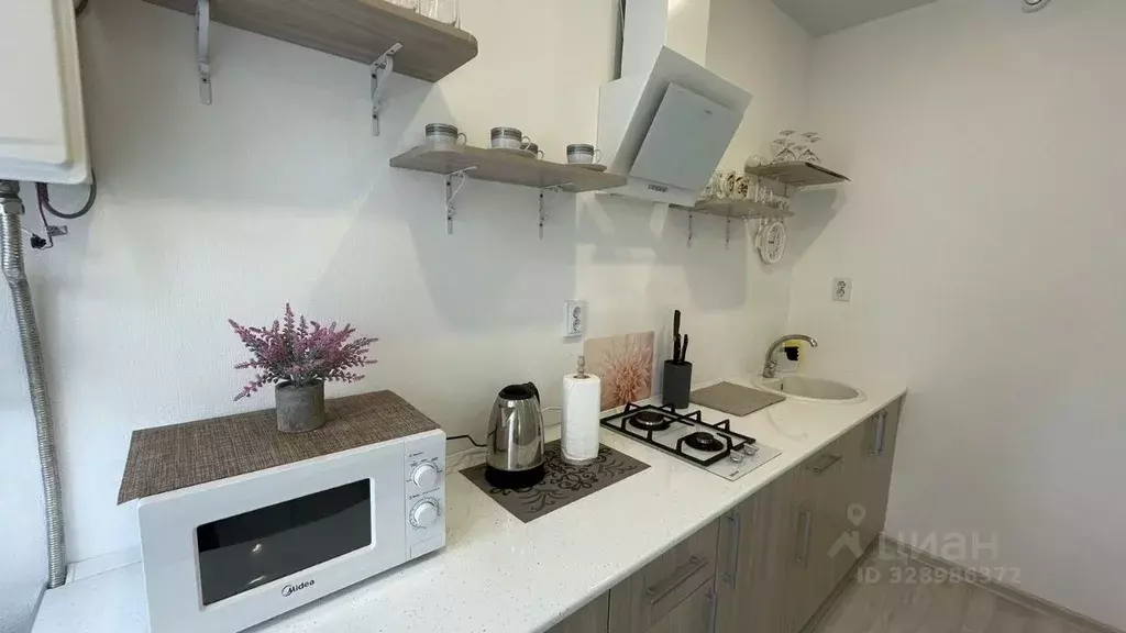 Студия Калининградская область, Светлогорск Яблоневая ул., 20 (23.0 м) - Фото 2