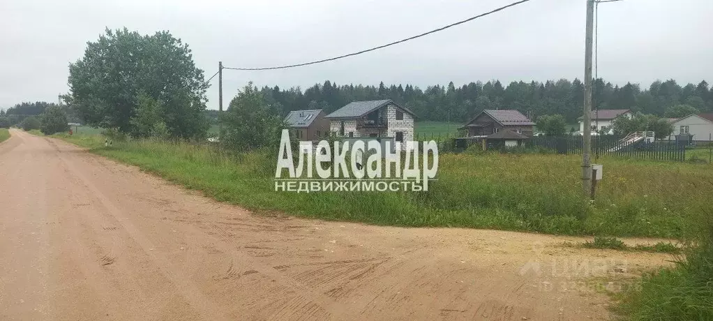 Участок в Ленинградская область, Волосовский район, Клопицкое с/пос, ... - Фото 1
