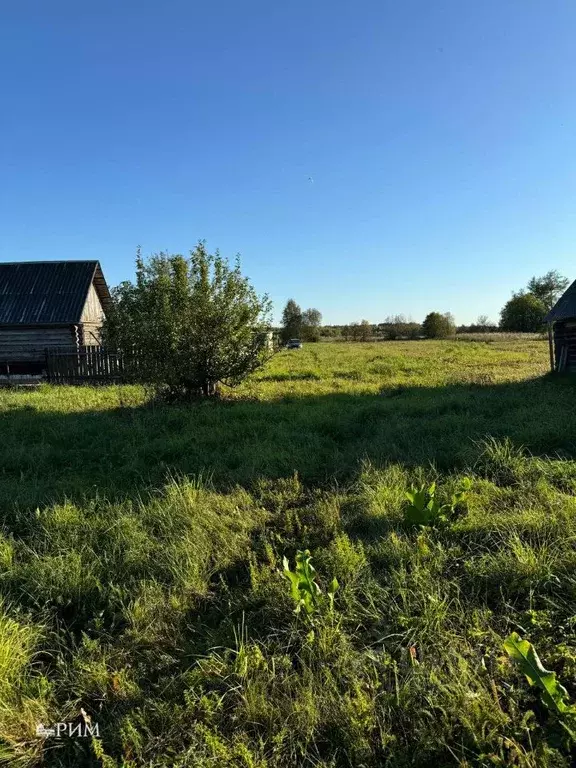 Дом в Вологодская область, Череповецкий район, Югское муниципальное ... - Фото 1