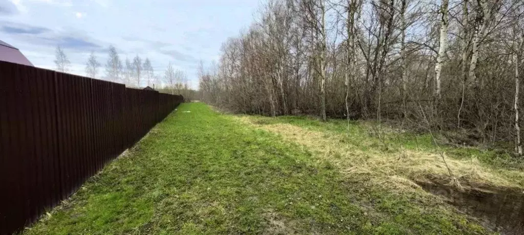 Участок в Московская область, Коломна городской округ, с. Чанки  ... - Фото 1