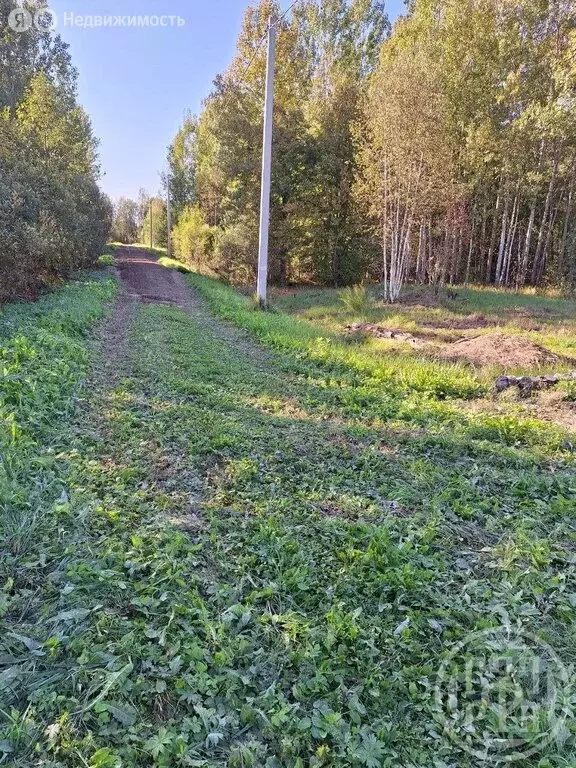 Участок в Кусинское сельское поселение, садоводческий массив ... - Фото 1