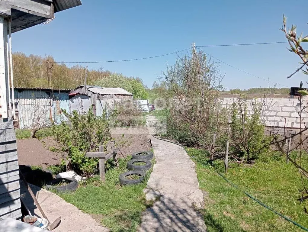 Дом в Новосибирская область, Коченевский район, Недра-3 садовое ... - Фото 0
