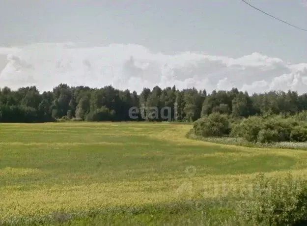 Участок в Свердловская область, Каменский муниципальный округ, с. ... - Фото 0