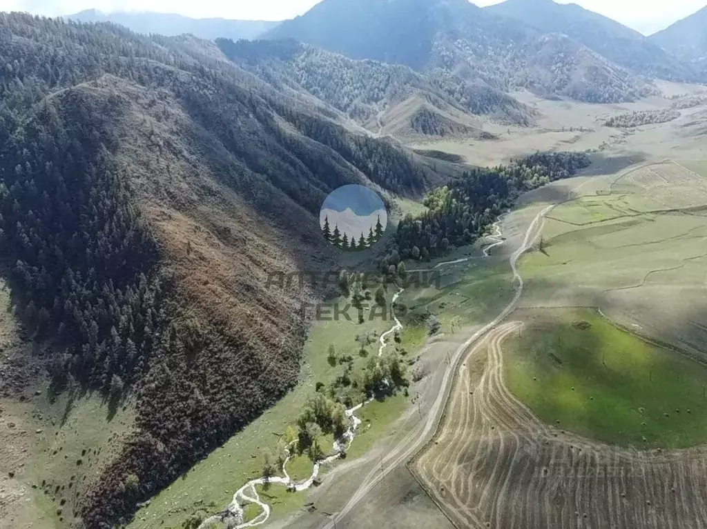 Участок в Алтай, Онгудайский район, с. Купчегень  (10.0 сот.) - Фото 1
