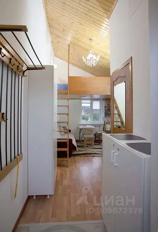 Студия Московская область, Химки городской округ, д. Носово ул. Новая, ... - Фото 2