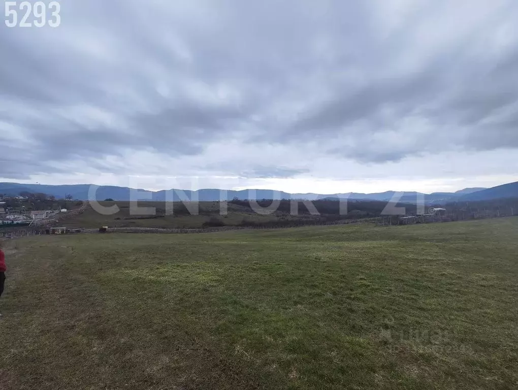 Участок в Севастополь с. Передовое, ул. Прудовая, 23 (258.6 сот.) - Фото 2
