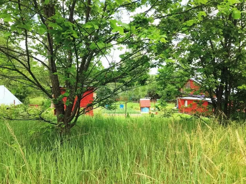 Участок в Владимирская область, Покров городской округ, д. Панфилово ... - Фото 1