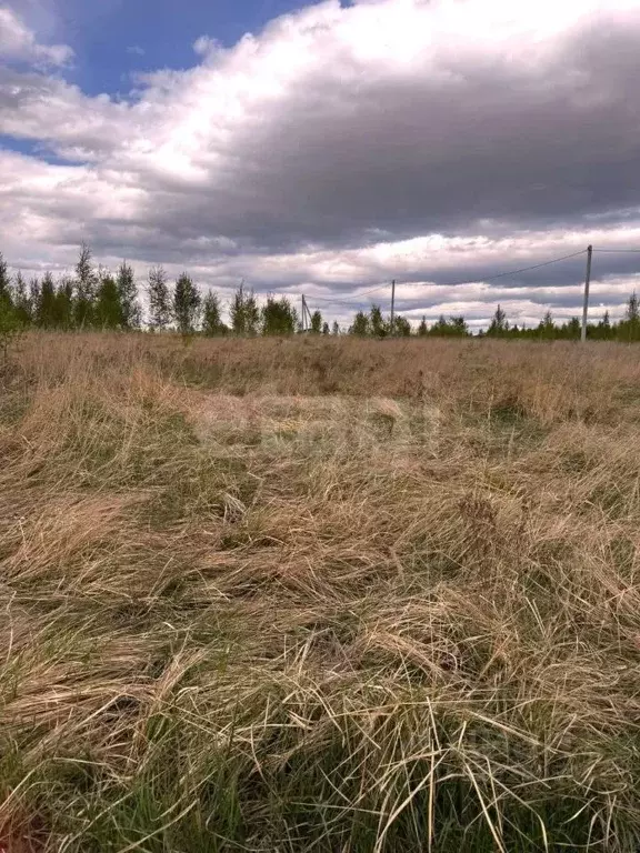 Участок в Владимирская область, Муром с. Ковардицы,  (15.2 сот.) - Фото 1