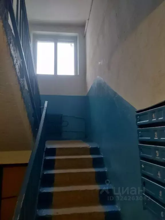 2-к кв. Новгородская область, Новгородский район, Ермолинское с/пос, ... - Фото 2