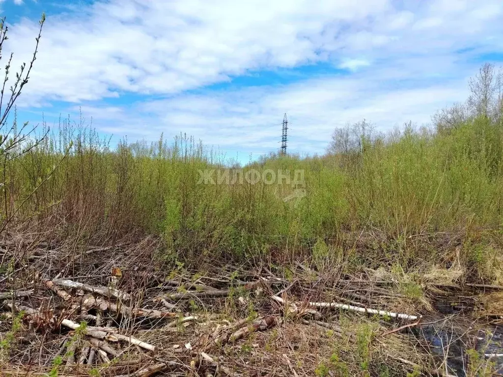 Участок в Архангельская область, Архангельск Южная Маймакса мкр, ул. ... - Фото 1