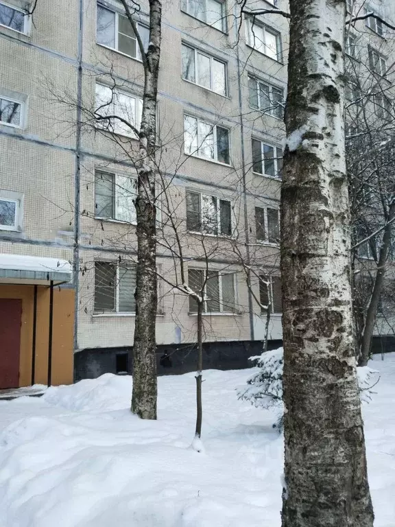 Комната Санкт-Петербург Дунайский просп., 42/79 - Фото 1