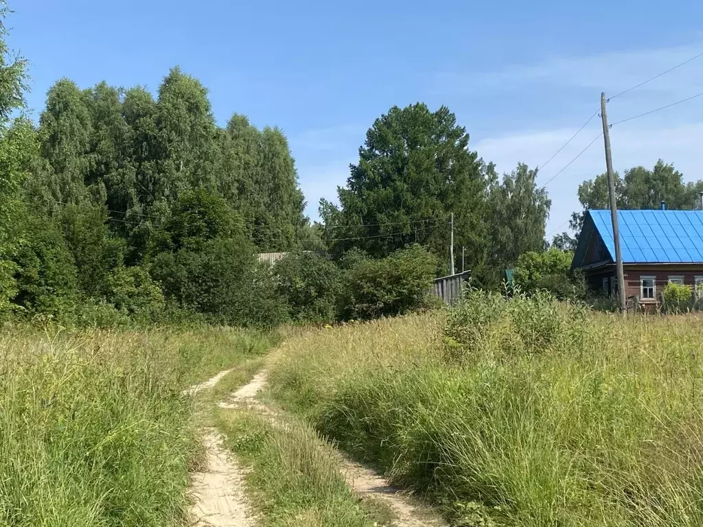 Участок в Нижегородская область, Сокольский муниципальный округ, д. ... - Фото 2