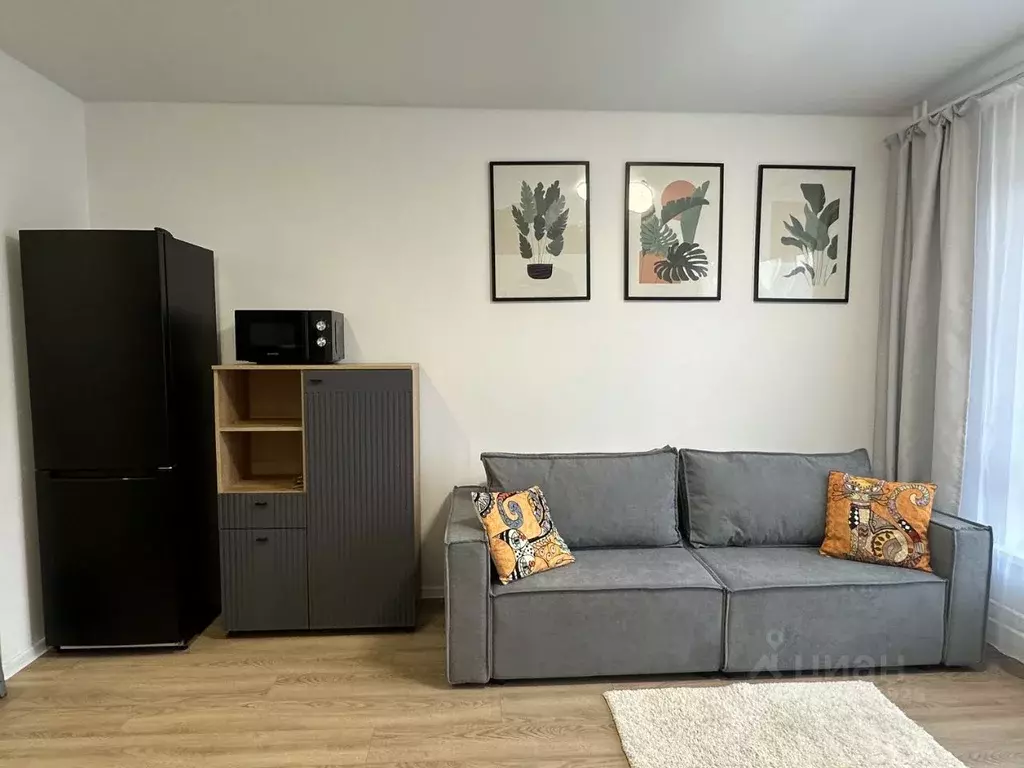 Студия Московская область, Красногорск городской округ, пос. ... - Фото 2