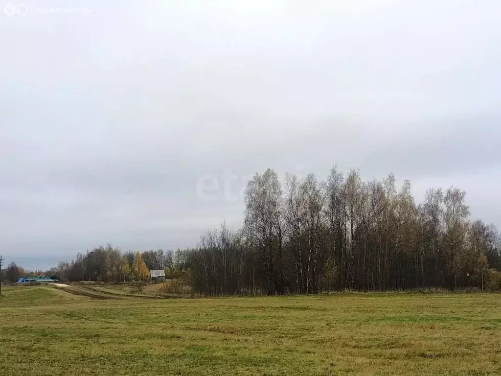 Участок в Владимирская область, Кольчугинский муниципальный округ, ... - Фото 1