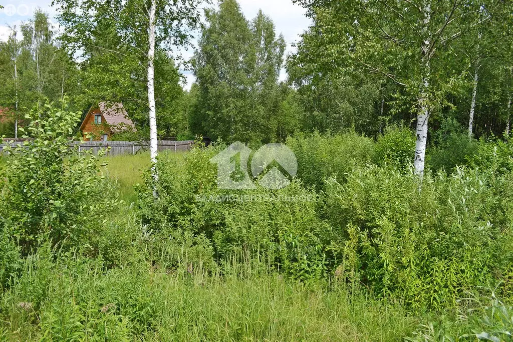 Участок в Искитимский район, садовое товарищество Бердь, Миндальная ... - Фото 1