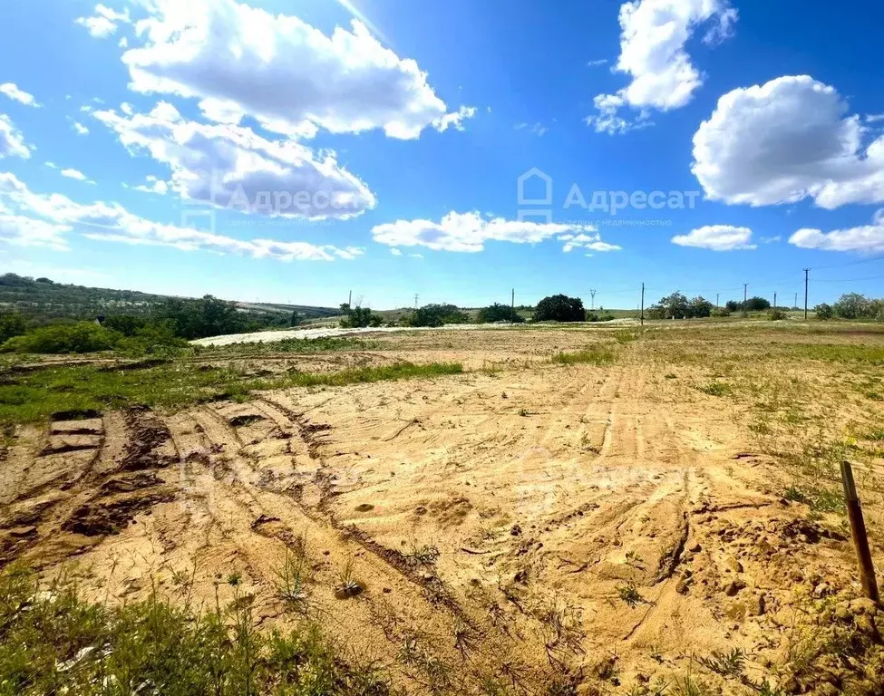 Участок в Волгоградская область, Городищенский район, Царицынское ... - Фото 2