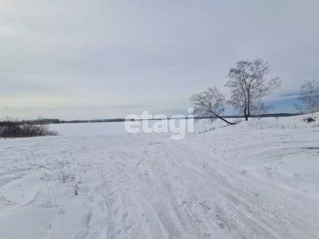 Участок в челябинская область, чебаркуль Колхозная ул. (14.8 сот.) - Фото 1