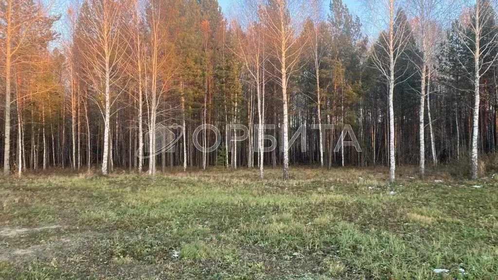 Участок в Тюменская область, Нижнетавдинский район, Березка СНТ  (8.0 ... - Фото 0