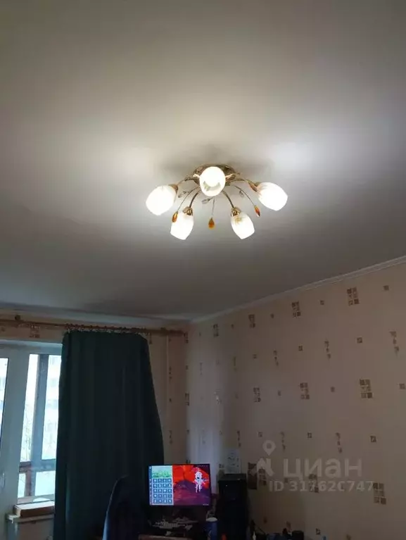 1-к кв. Санкт-Петербург Камышовая ул., 3К1 (39.0 м) - Фото 1