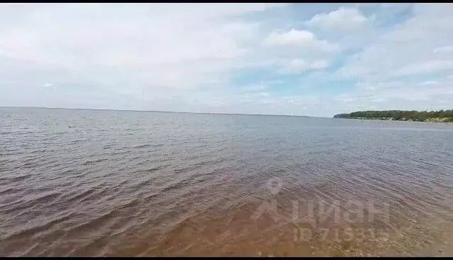 Участок в Нижегородская область, Сокольский городской округ, д. ... - Фото 1