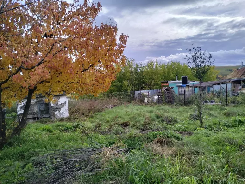 Участок в Красноярский край, Березовка городское поселение, Вискозник ... - Фото 0