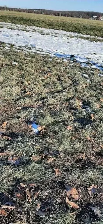 Участок в Белгородская область, Белгородский район, Дубовское с/пос, ... - Фото 0