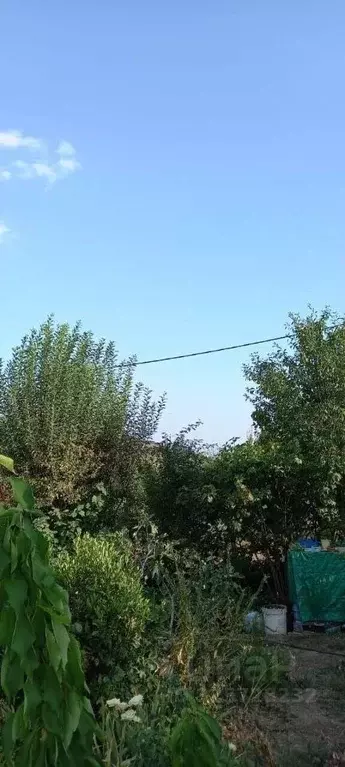 Участок в Крым, Алушта ул. Изумрудная (6.0 сот.) - Фото 2