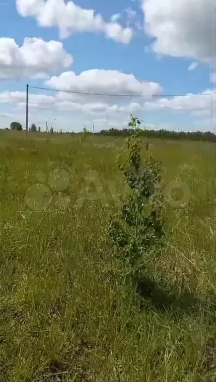 Участок 10 сот. (ИЖС) - Фото 0
