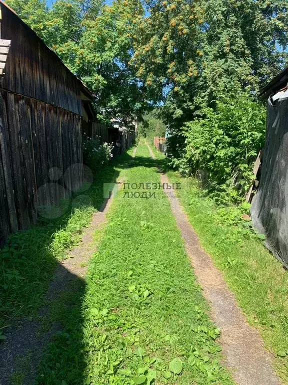 Дача 36 м на участке 3,9 га - Фото 0