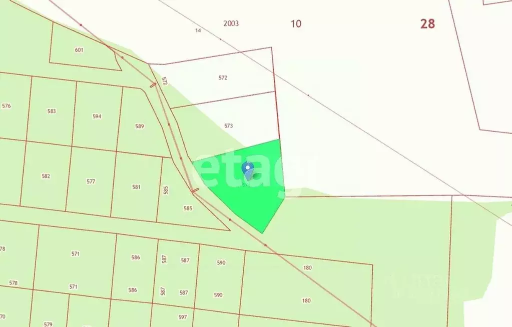 Участок в Амурская область, Благовещенский район, с. Волково  (30.0 ... - Фото 1