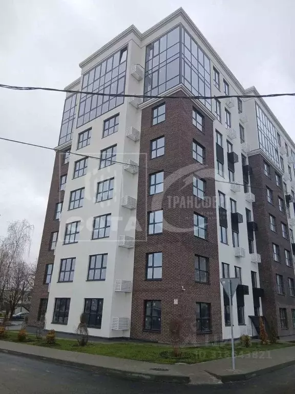 2-к кв. Воронежская область, с. Новая Усмань ул. Ленина, 312А (67.3 м) - Фото 1