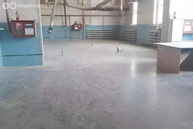 Помещение свободного назначения (206 м) - Фото 2