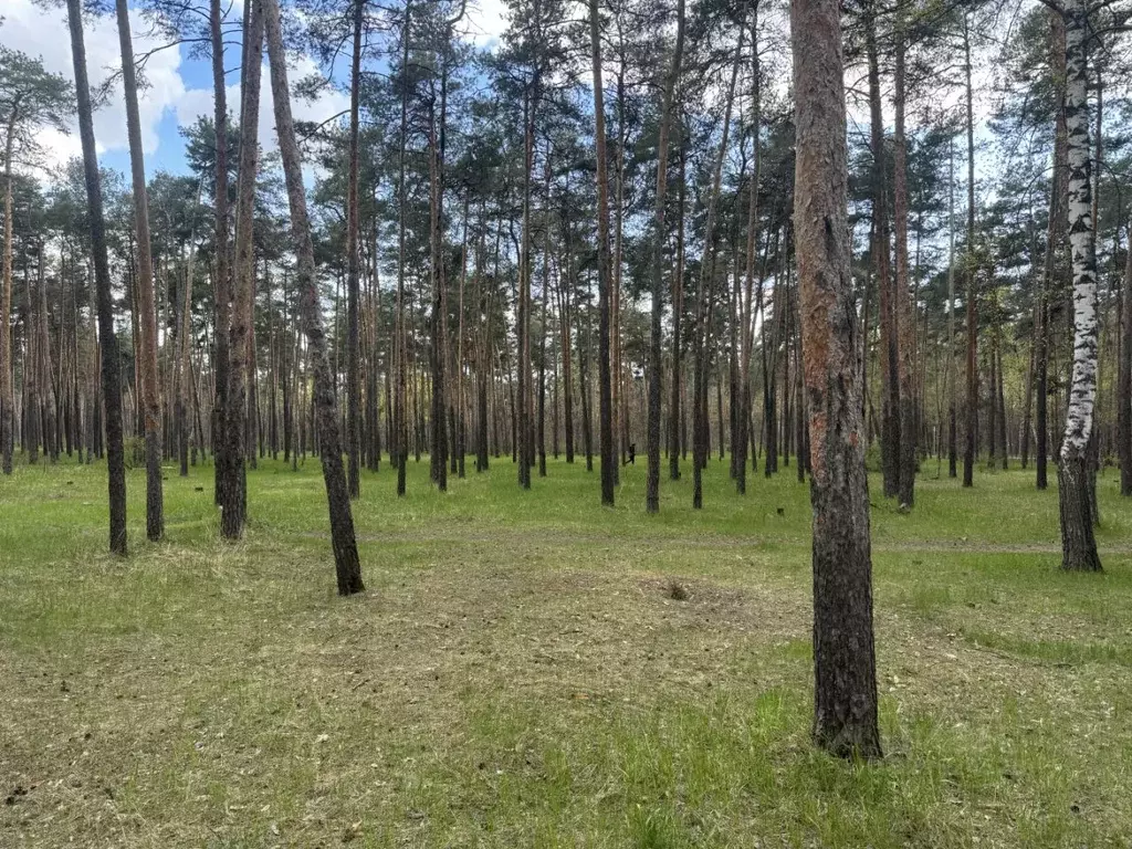 Участок в Московская область, Подольск городской округ, Бородино кп ... - Фото 1