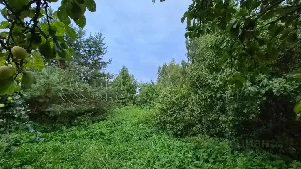 Участок в Ленинградская область, Ломоносовский район, Пениковское ... - Фото 1
