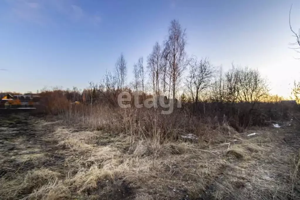 Участок в Тюменская область, Тюменский муниципальный округ, Красная ... - Фото 2