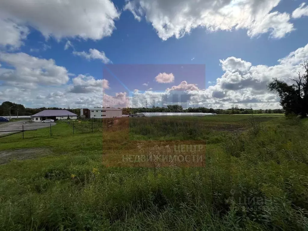 Производственное помещение в Калининградская область, Зеленоградский ... - Фото 2