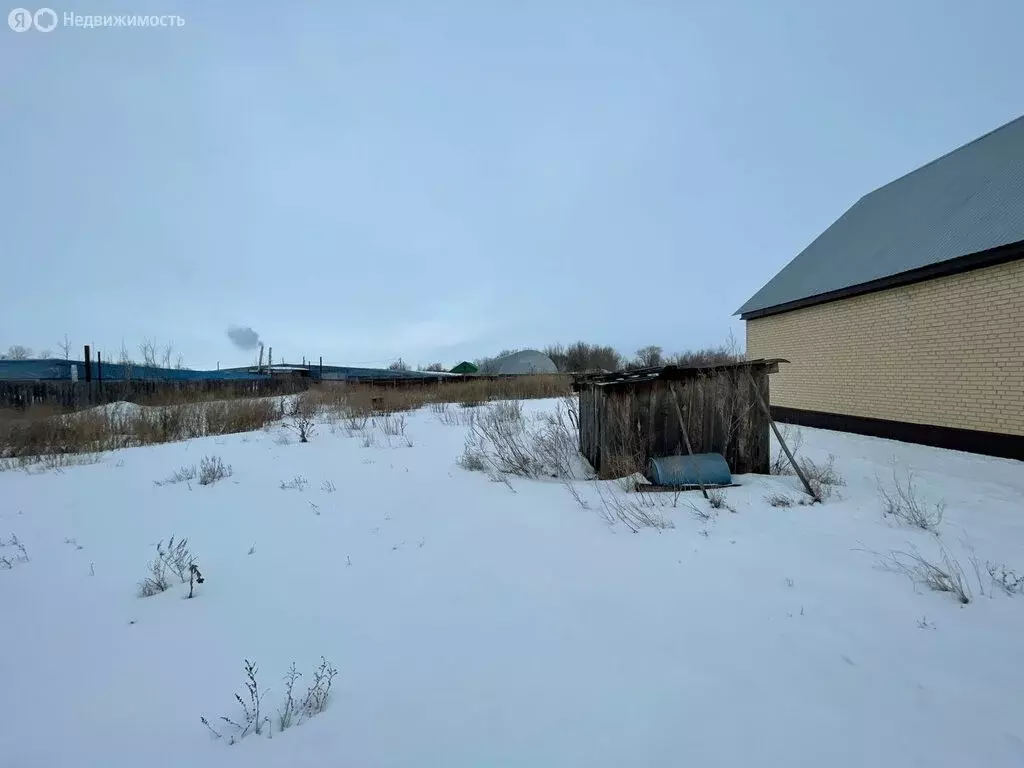 Участок в Бузулукский район, Новоалександровский сельсовет, село ... - Фото 0