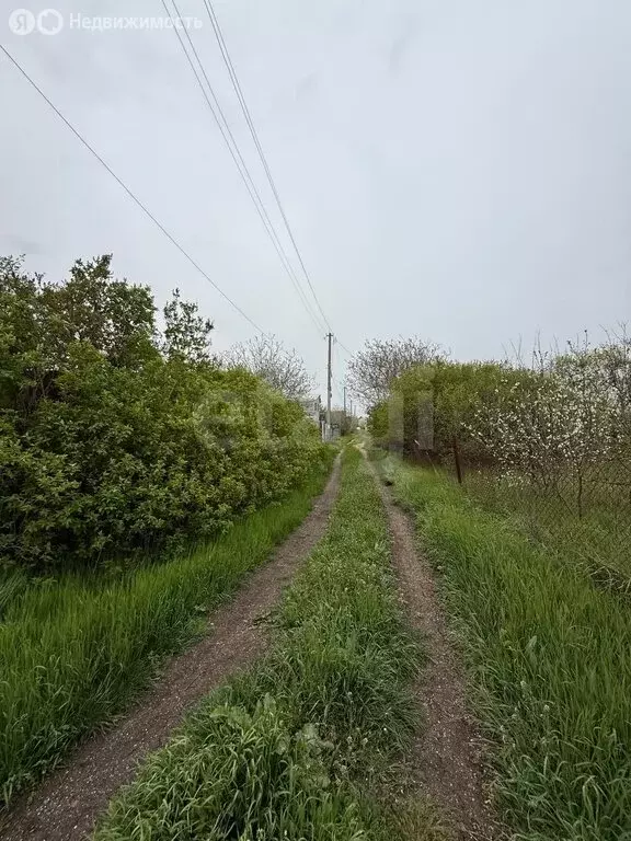 Участок в Урожайновское сельское поселение, СТ Весна (3.7 м) - Фото 2