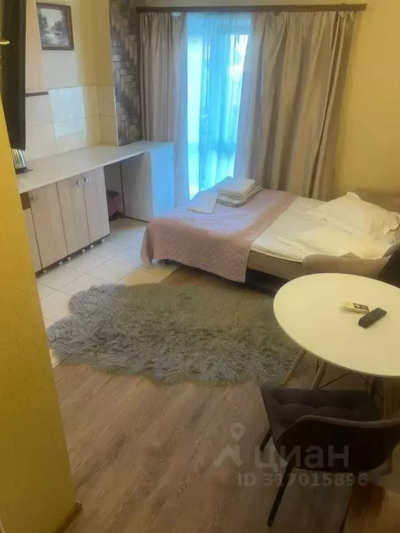 Студия Крым, Ялта ул. Подъемная, 17 (27.0 м) - Фото 1